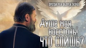 Трезвитесь, христиане! Протоиерей Андрей Ткачёв