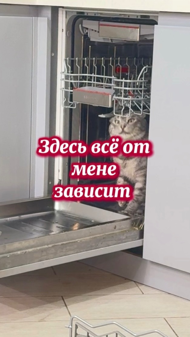 Главный по тарелочкам