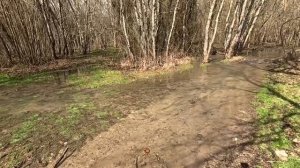 28.02.Кипарисовое озеро заполнилось водой. 👍Анапа.