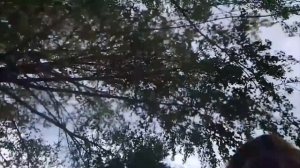 2 Апреля 2021 год