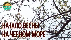 Начало весны на юге
