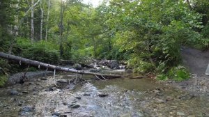 Рыбалка на дикой реке