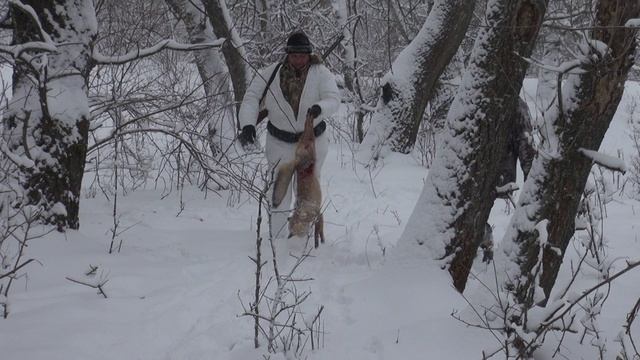 Зимняя охота 2012