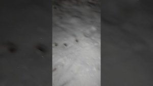 у нас пошел снег❄ 🥳