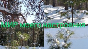 23.02.26 Дача Выборг гуляю и планы строю