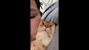 СМЕШНОЕ ВИДЕО 2026 | ЛУЧШИЕ ПРИКОЛЫ, МЕМЫ, ФЕЙЛЫ И ВИРУСНЫЕ МОМЕНТЫ ДО СЛЕЗ | ТОП ЮМОР