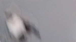 Маленький кораблик Lego против большого корабля Lego