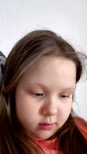 Мои подписчики