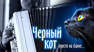 Черный кот _на баяне