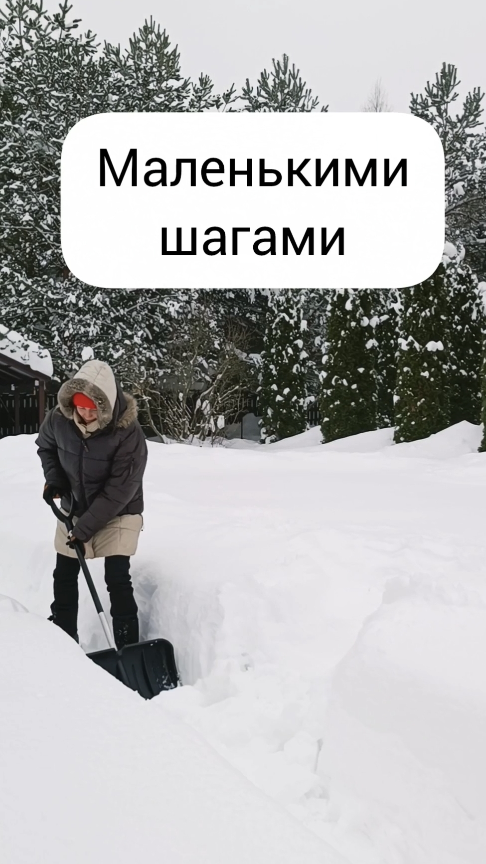 #забота #движение #питание #радость #лёгкость