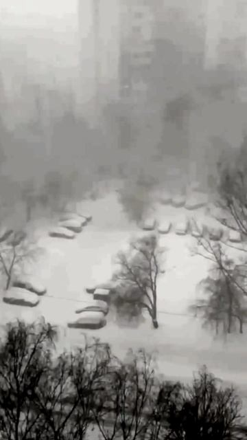 Сильная метель в Москве
