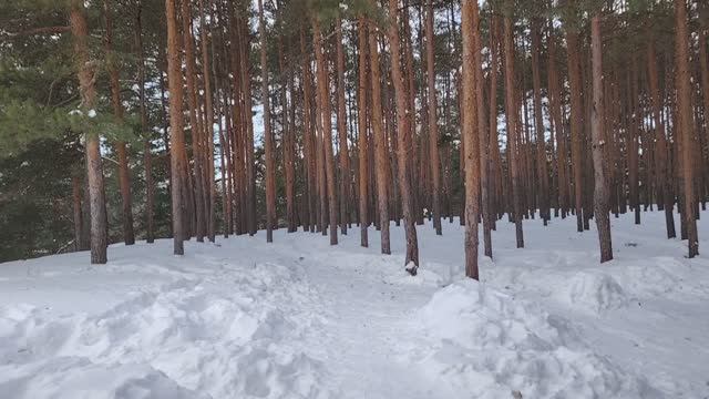 Путешествия. Работа. Саморазвитие смотреть онлайн