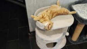 даёшь балдёж