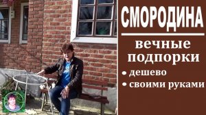 Как подвязать смородину Простые и надежные подпорки для смородины своими руками