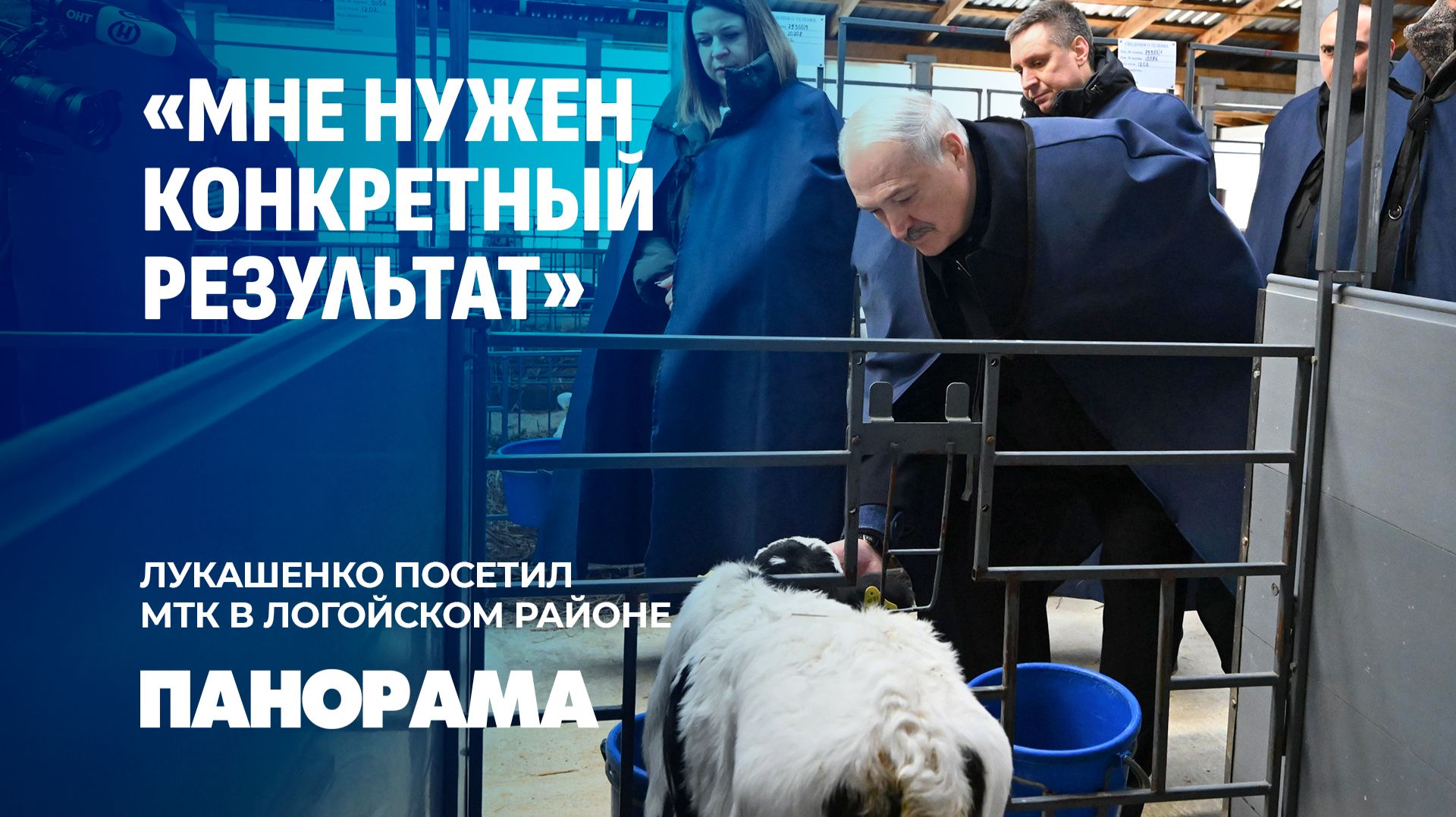 Шефская помощь — это наше спасение для села. Президент посетил ОАО "Нестановичи-Агро". Панорама