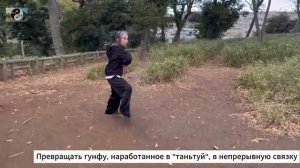 093 Лабиринты кунфу