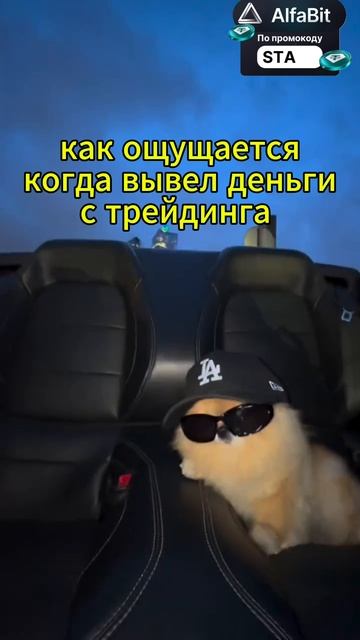 МЕМ смотреть онлайн