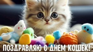 1 МАРТА- ДЕНЬ КОШЕК.