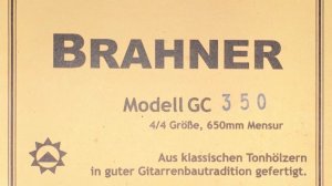 Гитара Brahner BG 350 - Зимний сад