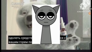 sialor_gray_incident_2017