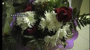 Если женщина не чудо. Песня.