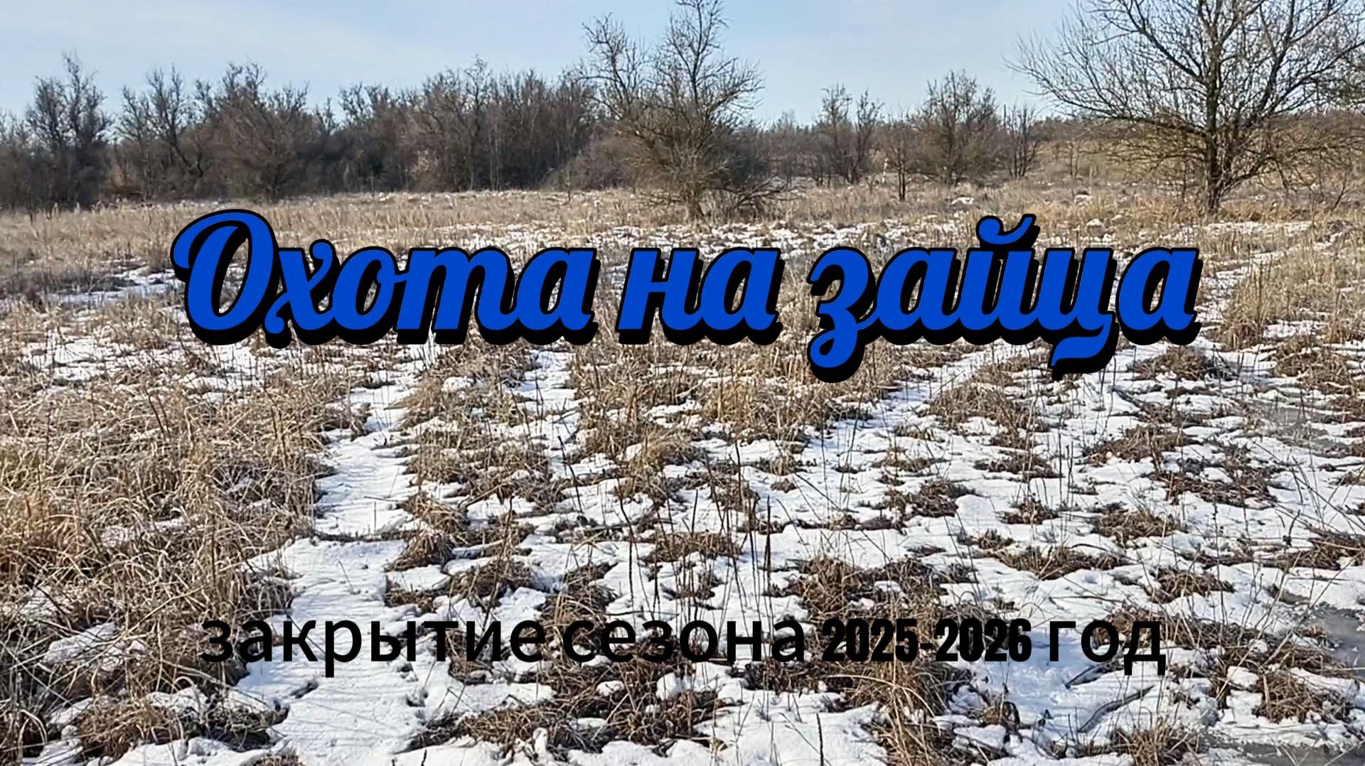 Охота на зайца. смотреть онлайн