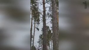 💥 КАК Я ВСТРЕТИЛ СВЯТОГО ДУХА / МОЛИТВА В ЛЕСУ 🙏