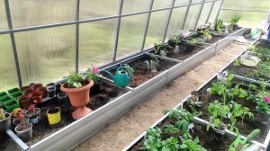 16-Дача..Посадка томатов.. притенение теплиц12.05.22