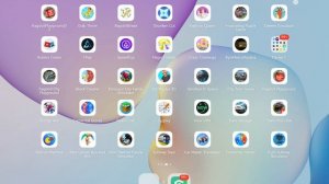 SVID_20260211_153100_1.mp4