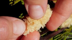 пробуем бургер который залили эпоксидной смолой