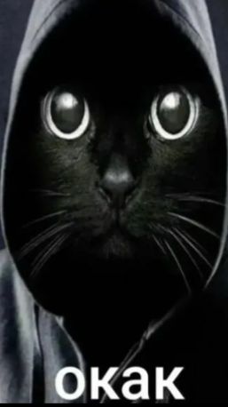 Просто Эдит прикольных персов/фз