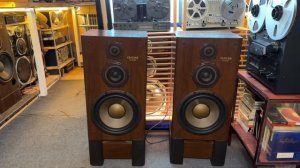 Акустика Diatone DS-800ZX