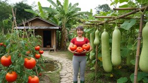 Сбор урожая фасоли, тыквы и мини-помидоров, отправляйтесь на деревенский рынок, чтобы продать урожай