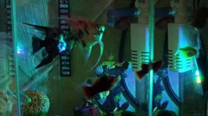 Успокаивающая музыка,для расслабления,глубокого сна,медитации,йоги. Музыка для внутреннего баланса.