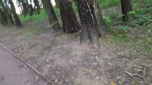 Лесопарк в г.Звенигород в августе за полторы минуты.