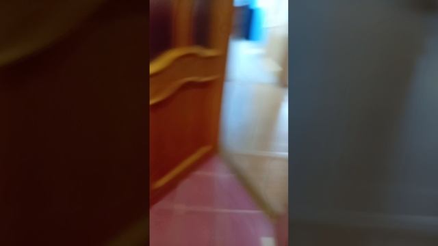обзор моего дома смотреть онлайн