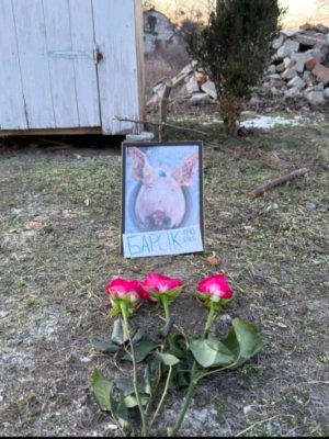 Рубимся в маенкрафт