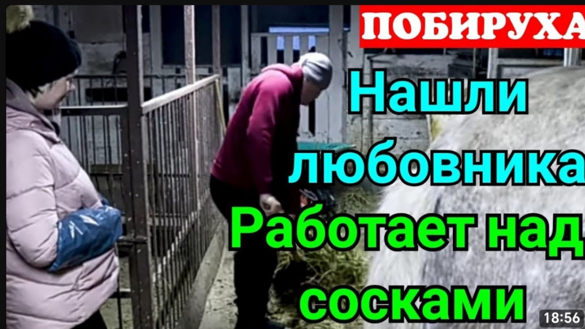 Деревенский дневник очень многодетной мамы _Сенсация _Нашли любовника Лели _Любит сосочки _Обзор _ смотреть онлайн