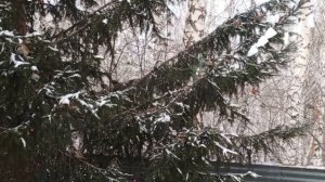 замечательный субботний обед