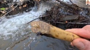 Строительство, расчистка русла реки