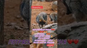 Потрясающая песня. Текст взят из жизни.