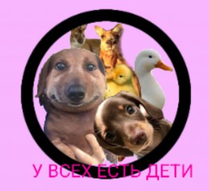 живое исполнение новой песни ЭКСКЛЮЗИВ