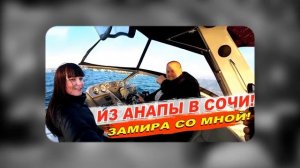 Звмира начинает спиватся