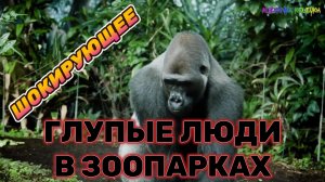 Персонал Зоопарка Снял БЕЗУМНЫЕ Кадры На Камеру!