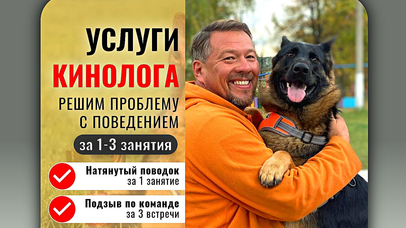 Дрессировка собак. Poslushno.ru смотреть онлайн