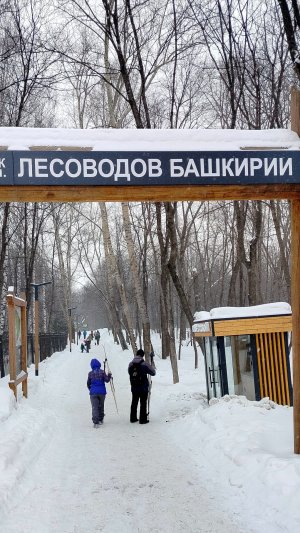 В парке Лесоводов