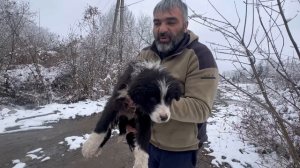 Щенок замерзал  от холода и не надеялся на спасение