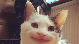 27-02-2026 Я еду на акробатику