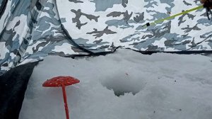 На рыбалке 27.02.26г.