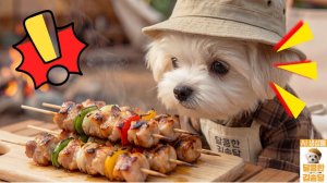 🐶Появился милый повар куриных шашлычков (Осторожно, сердечко не выдержит!) 🍖✨